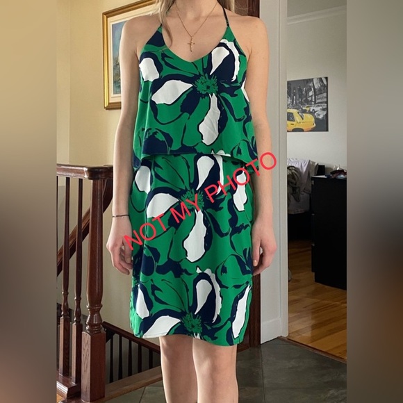 Banana Republic Ruffle Dress - Picture 1 of 5